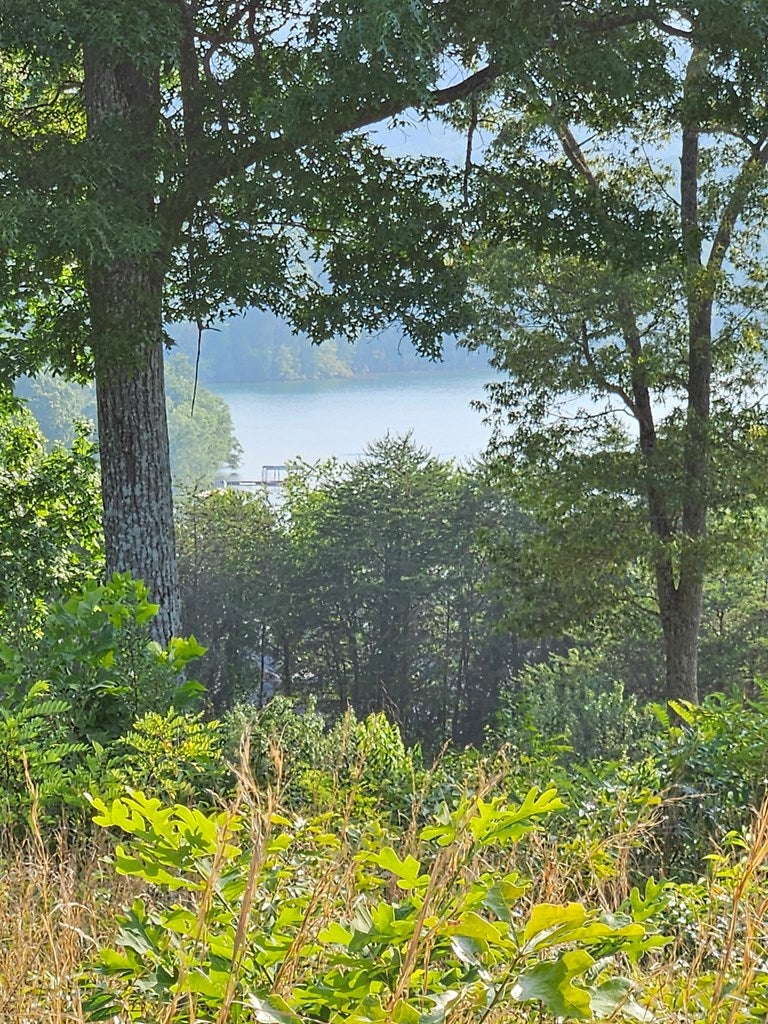 0 Big Sky Drive