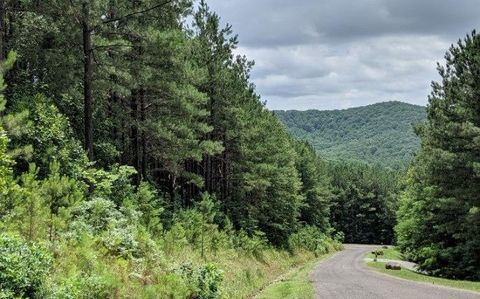 LOT 7 Ridge Top Drive Ellijay GA 30536