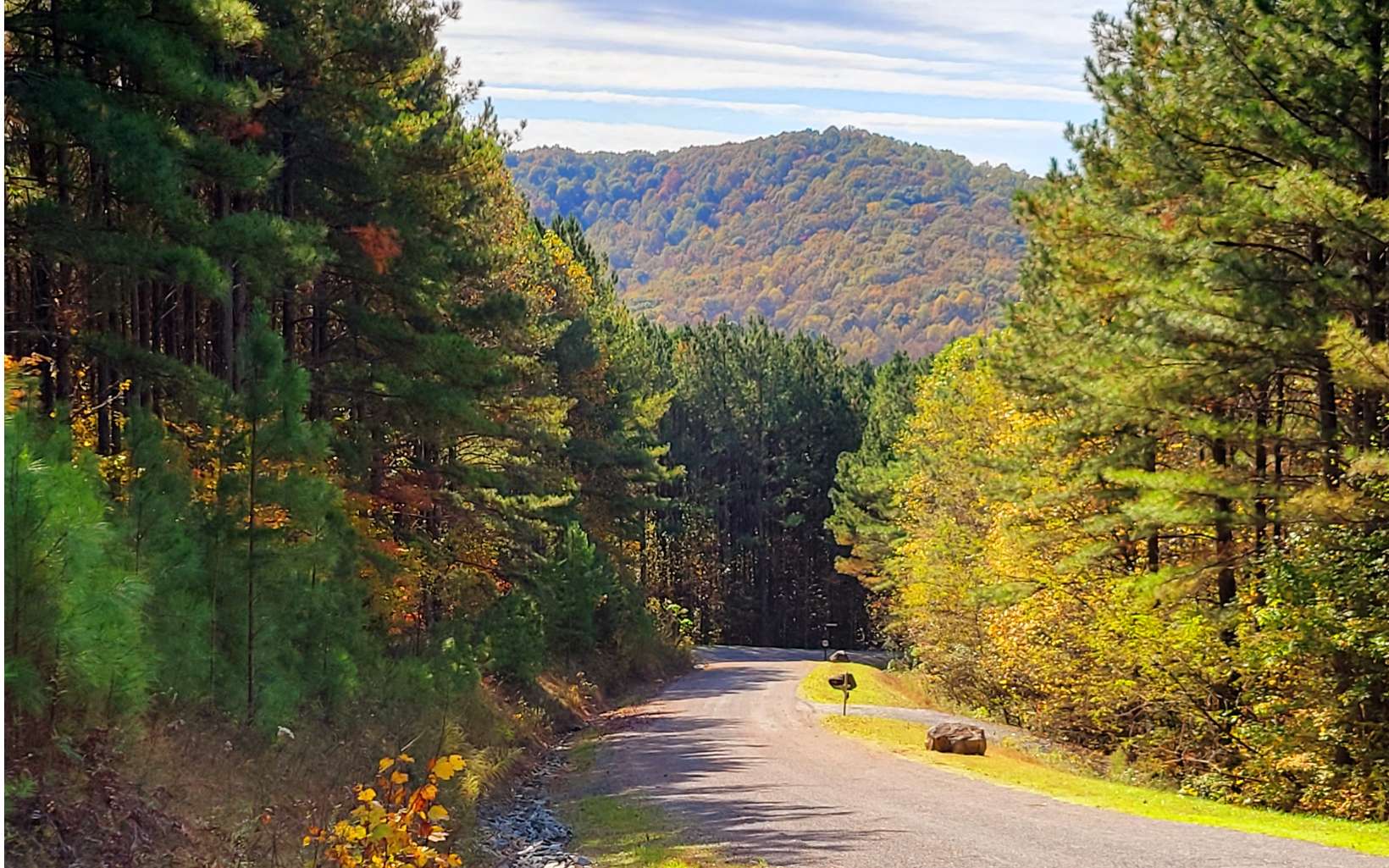 LOT 7 Ridge Top Drive