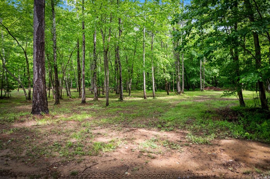 Talking Rock, Georgia, 30175, United States, 3 Bedrooms Bedrooms, ,2 BathroomsBathrooms,Residential,Active,2043420