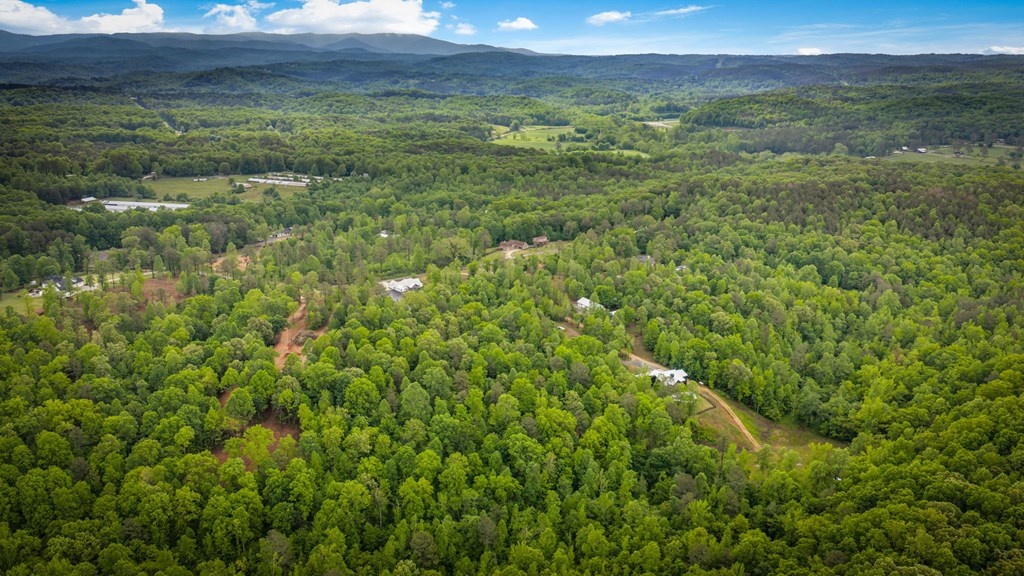 Talking Rock, Georgia, 30175, United States, 3 Bedrooms Bedrooms, ,2 BathroomsBathrooms,Residential,Active,2043420