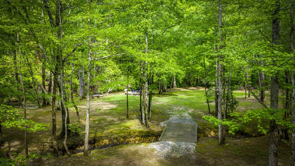 Talking Rock, Georgia, 30175, United States, 3 Bedrooms Bedrooms, ,2 BathroomsBathrooms,Residential,Active,2043420