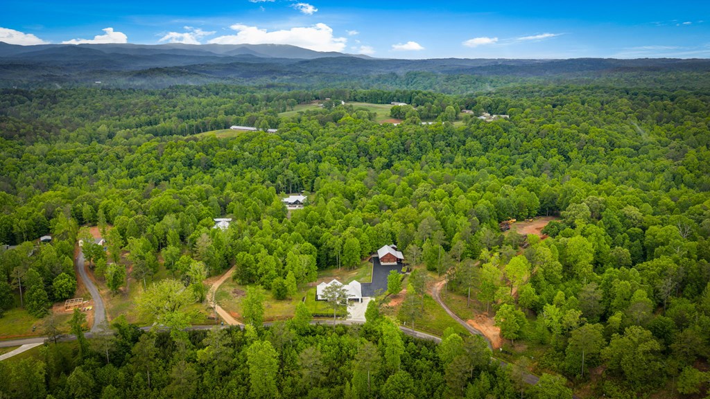 Talking Rock, Georgia, 30175, United States, 3 Bedrooms Bedrooms, ,2 BathroomsBathrooms,Residential,Active,2043420