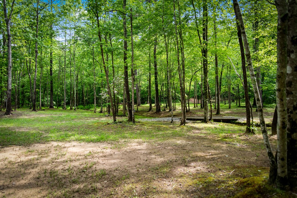 Talking Rock, Georgia, 30175, United States, 3 Bedrooms Bedrooms, ,2 BathroomsBathrooms,Residential,Active,2043420