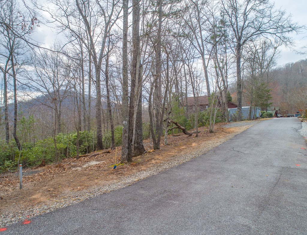 Lot 33 Laurel Brooke S/D