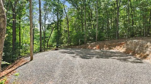 103 Hibiscus Lane Blue Ridge GA 30513