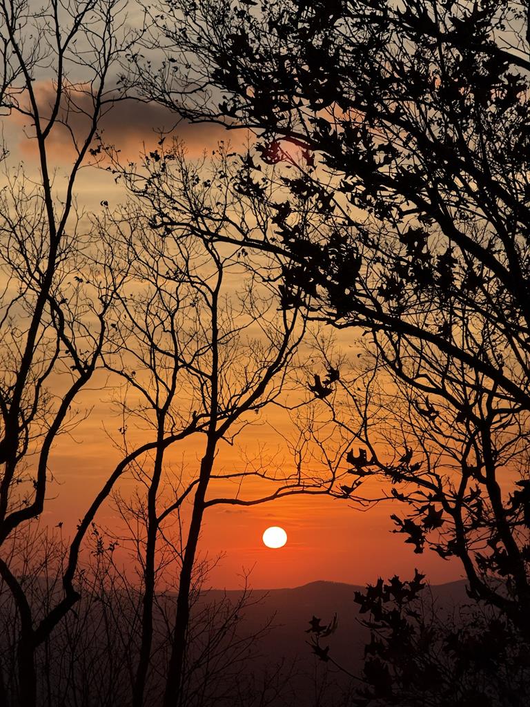 1911 Ridge View Drive