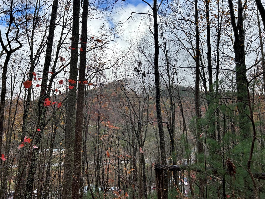 5.7 ac Butternut Grove Road