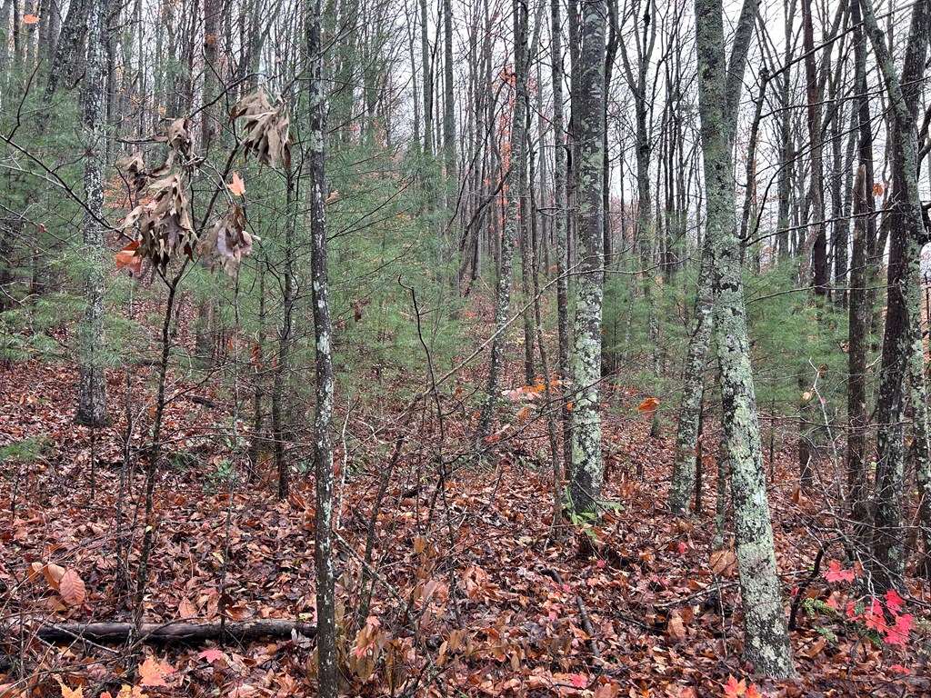 5.7 ac Butternut Grove Road