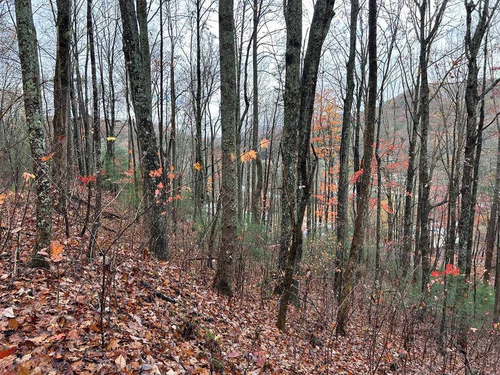 5.7 ac Butternut Grove Road