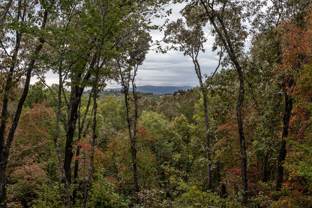 241 Wolf Creek Mountain Road