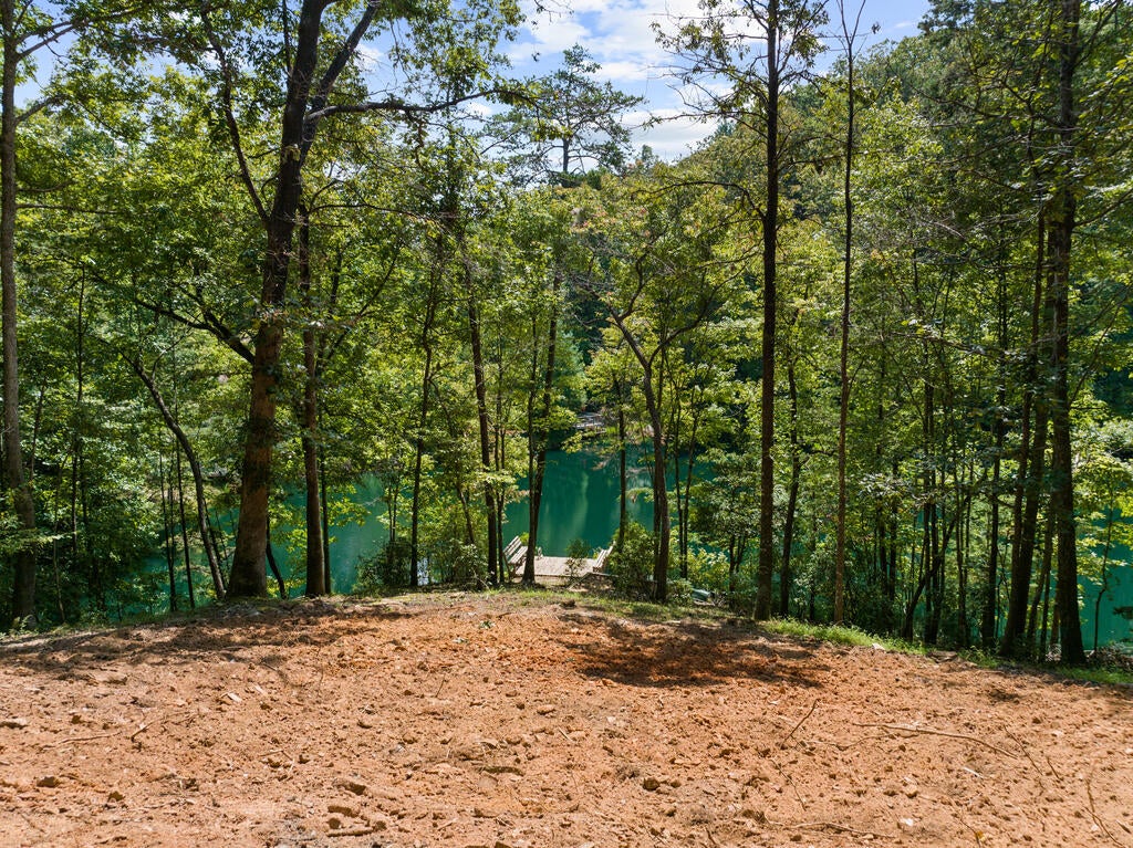LT 44&45 Overlook Drive