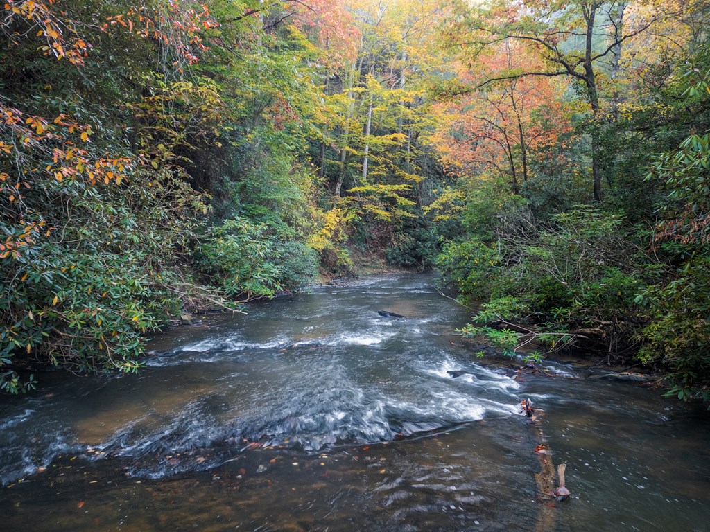 456 Whispering Pine Lane