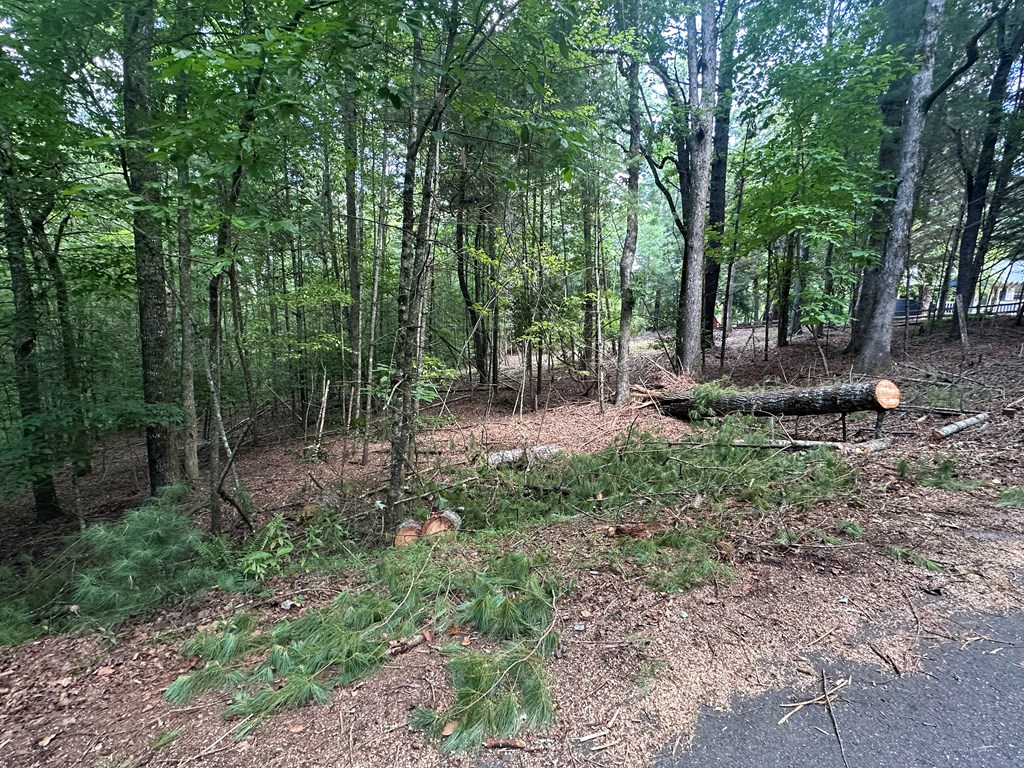 Lot D Timber Ridge Lane