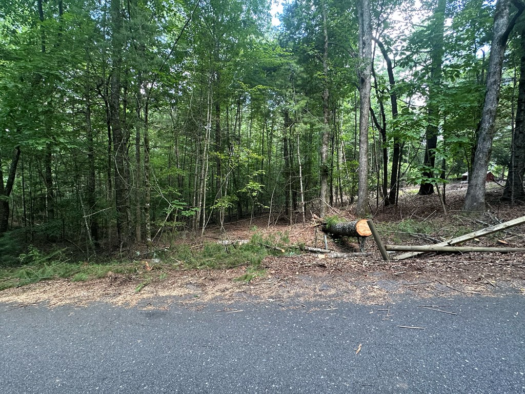 Lot D Timber Ridge Lane