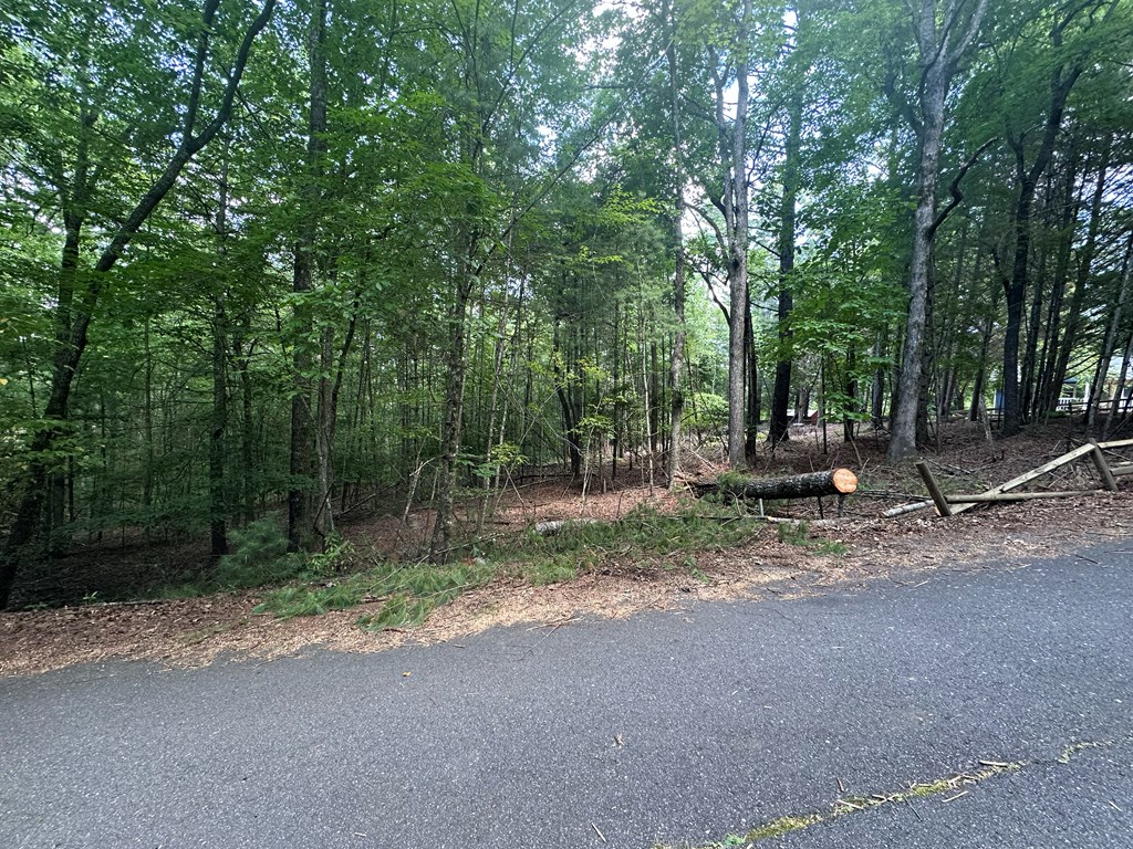 Lot D Timber Ridge Lane