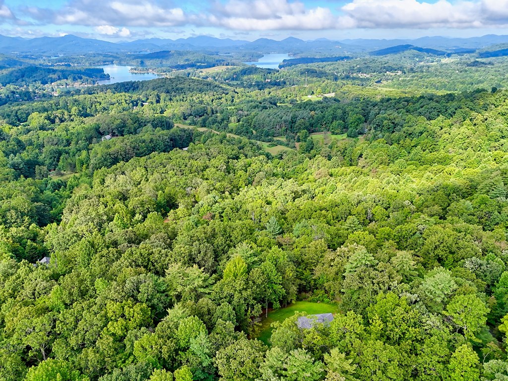 417 Hidden Forest Lane