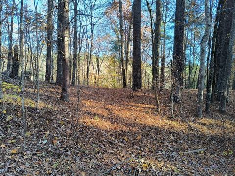 Lot 627 Novel Ct. Ellijay GA 30540