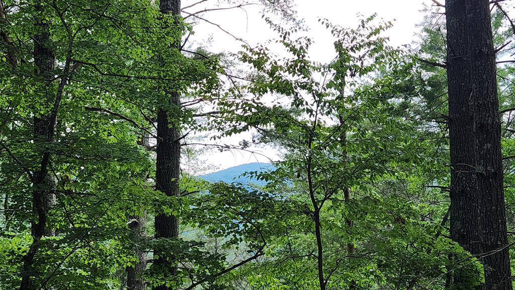 38 AC Tumbling Creek Road