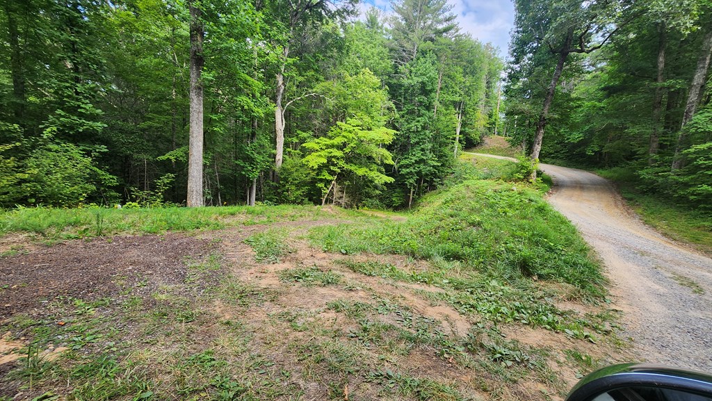 000 Tumbling Creek Road