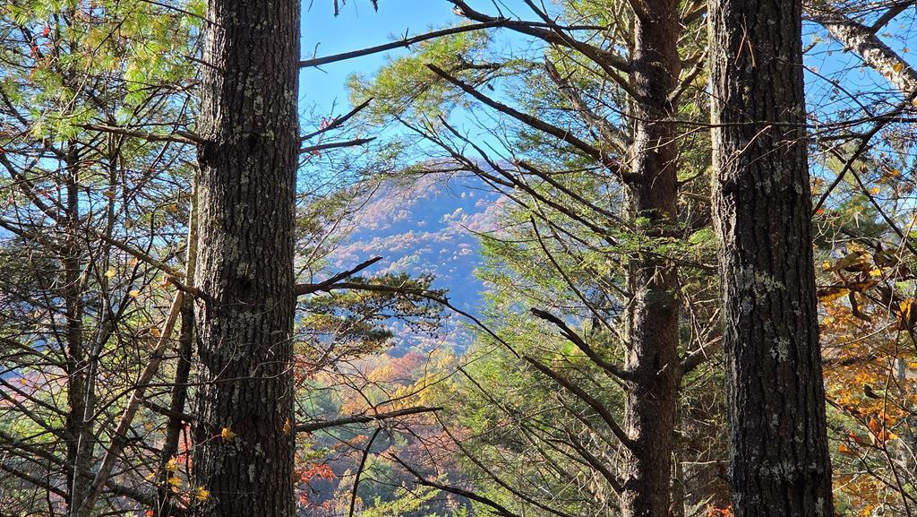 38 AC Tumbling Creek Road