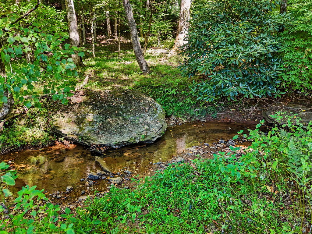 323 Burch Cove Road