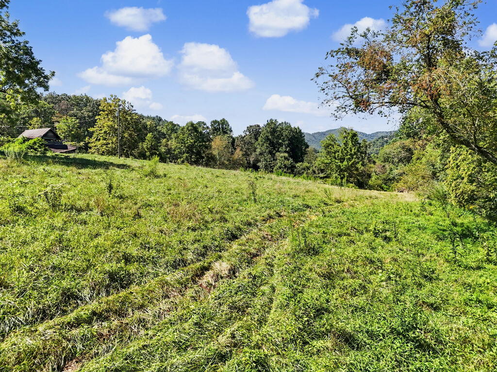 323 Burch Cove Road