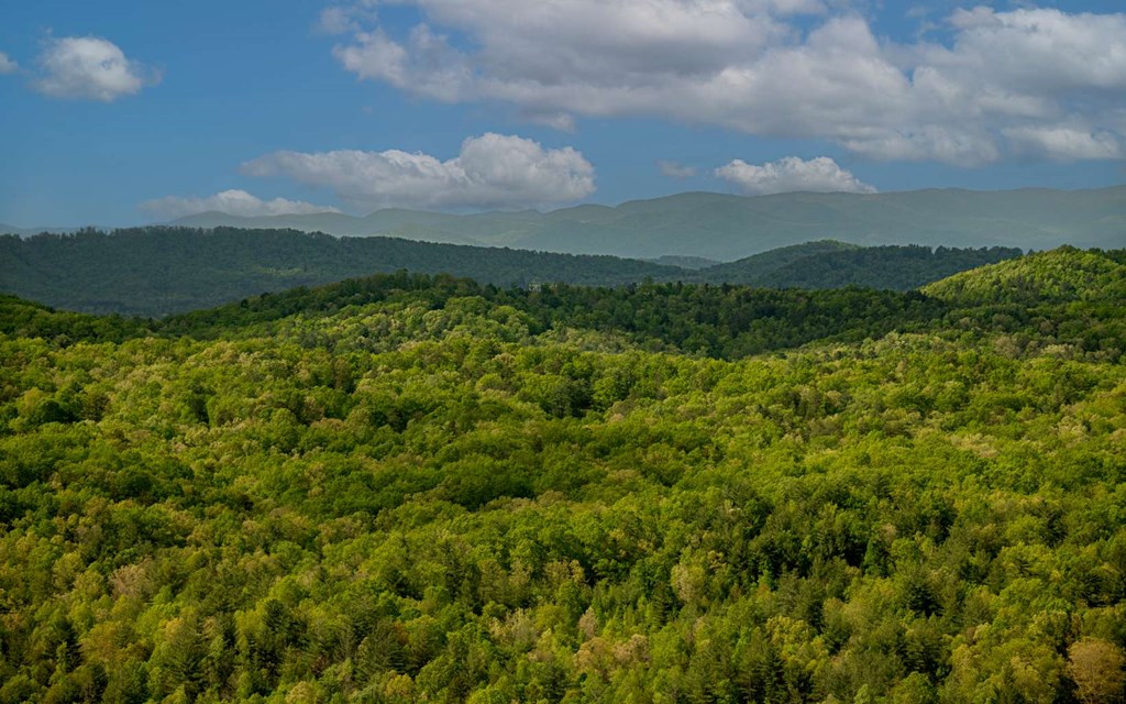 Lot 7 Scouts Overlook