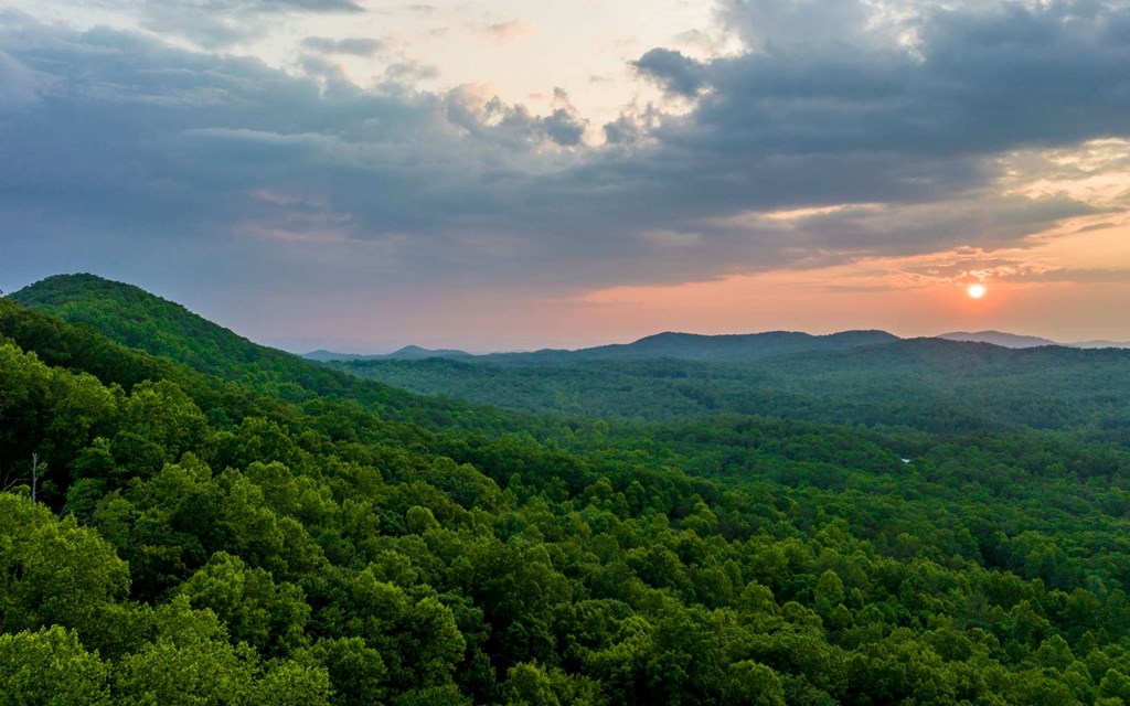 Lot 7 Scouts Overlook