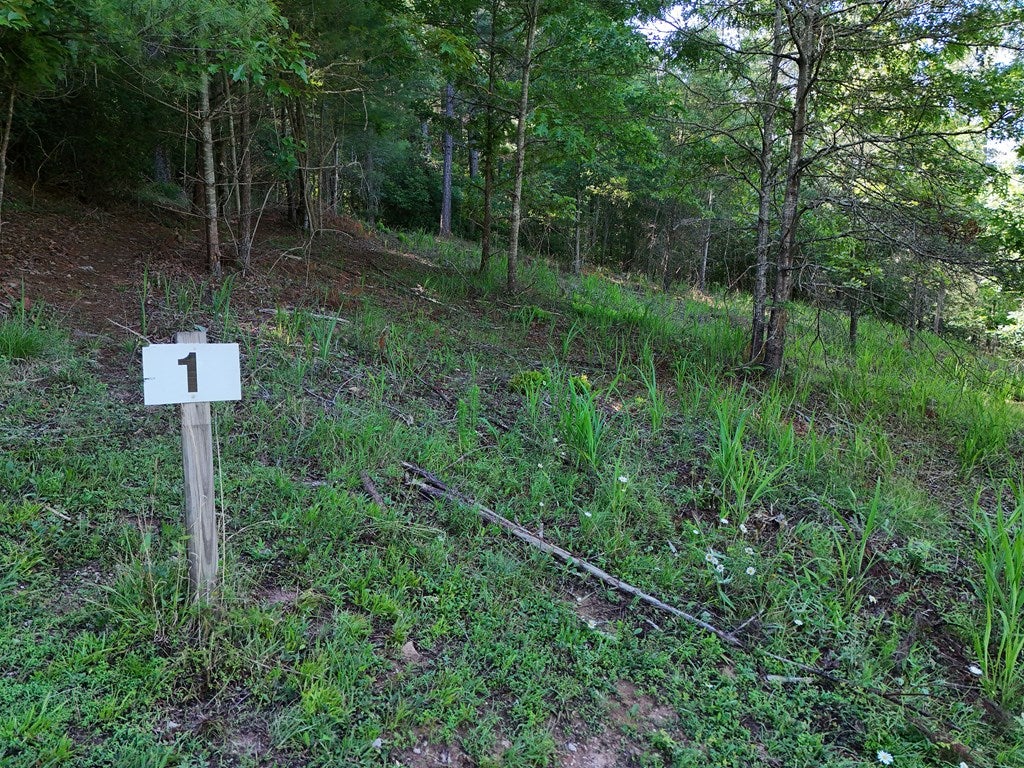 Lot 1 Big Knoll Drive