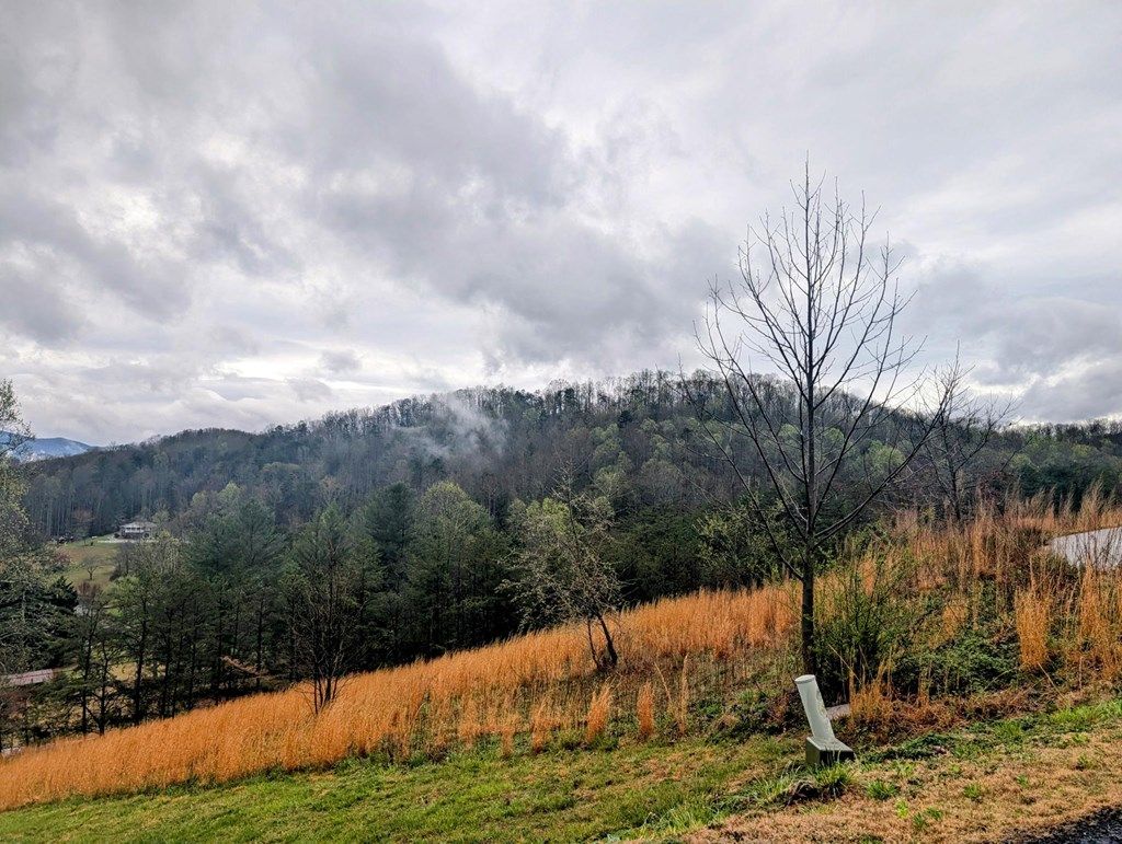 listing image 75