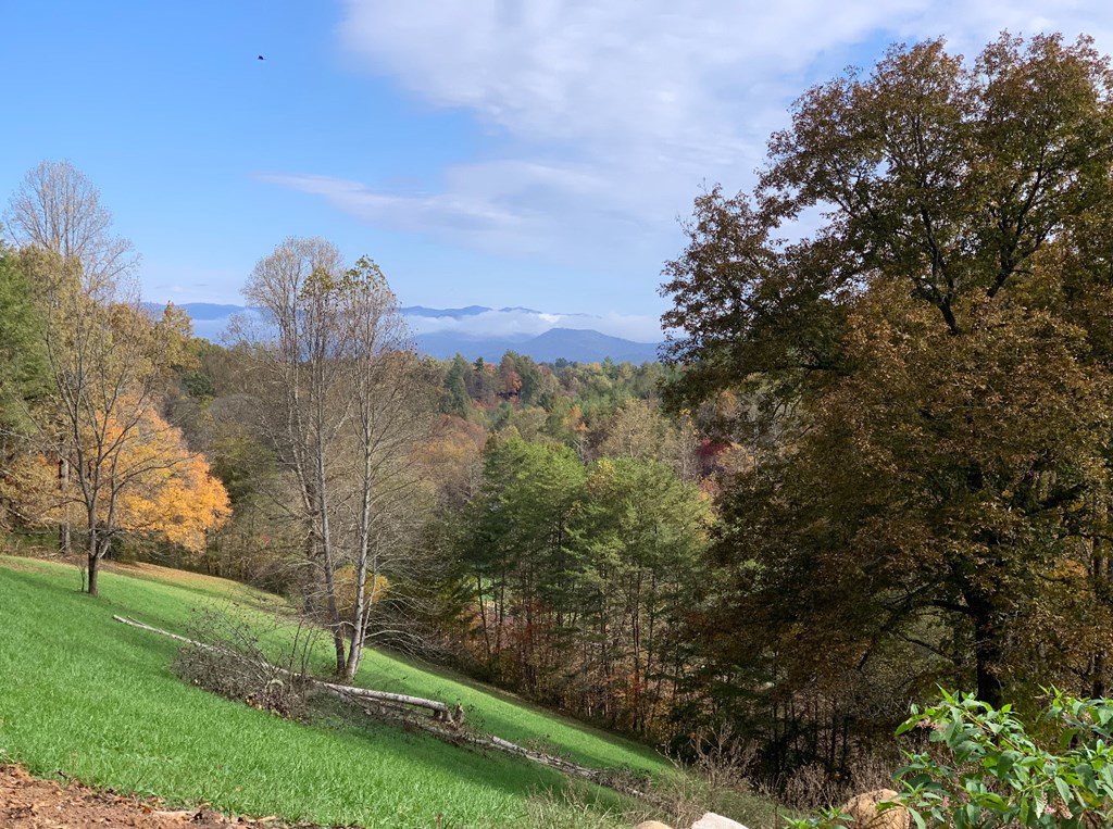 650 Hidden Hills Estates