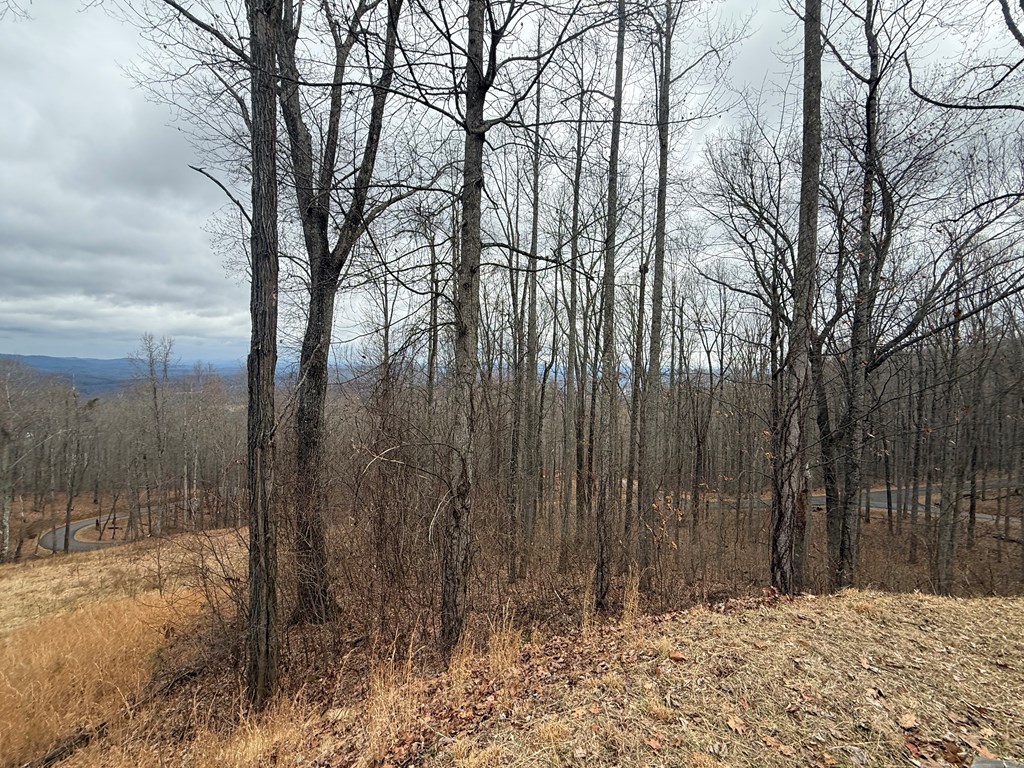 Lot 7 Rocky Knob Drive