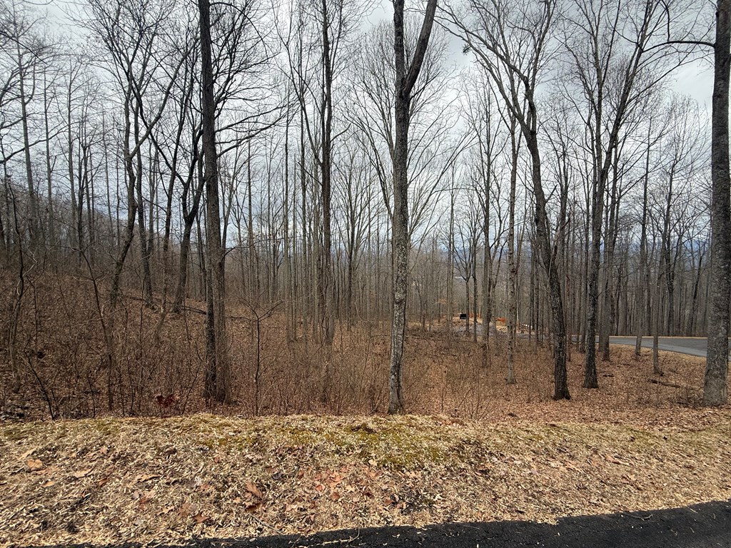 Lot 7 Rocky Knob Drive