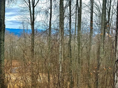 Lot 7 Rocky Knob Drive Young Harris GA 30582