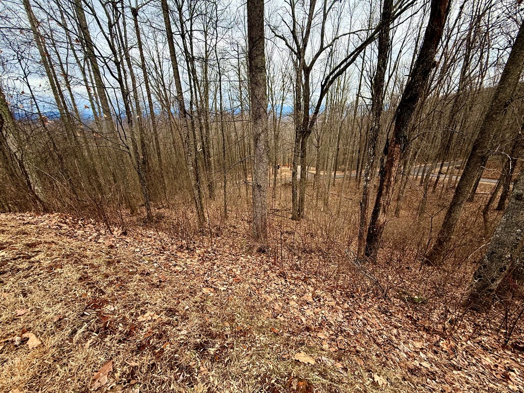 Lot 7 Rocky Knob Drive