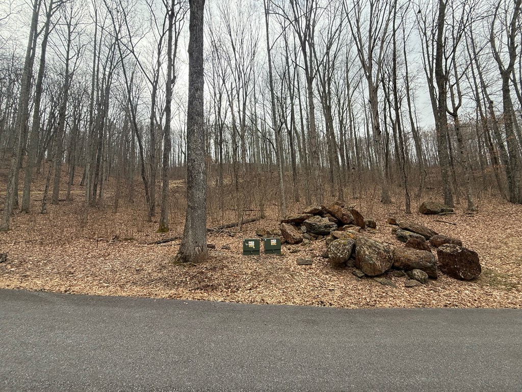 Lot 7 Rocky Knob Drive