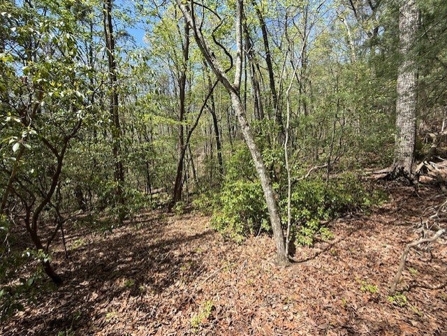 Lot 9 Marjorie Avenue