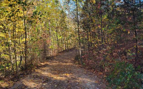 14 AC Old Burnt Mountain Ellijay GA 30540
