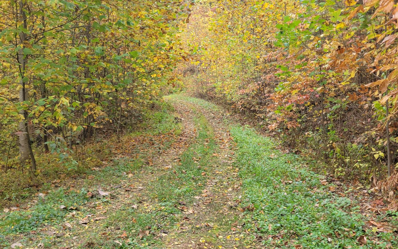 14 AC Old Burnt Mountain