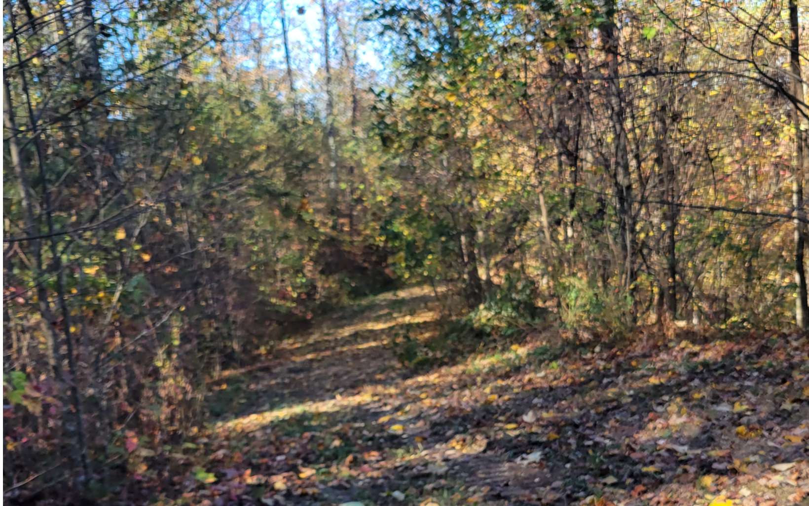 14 AC Old Burnt Mountain