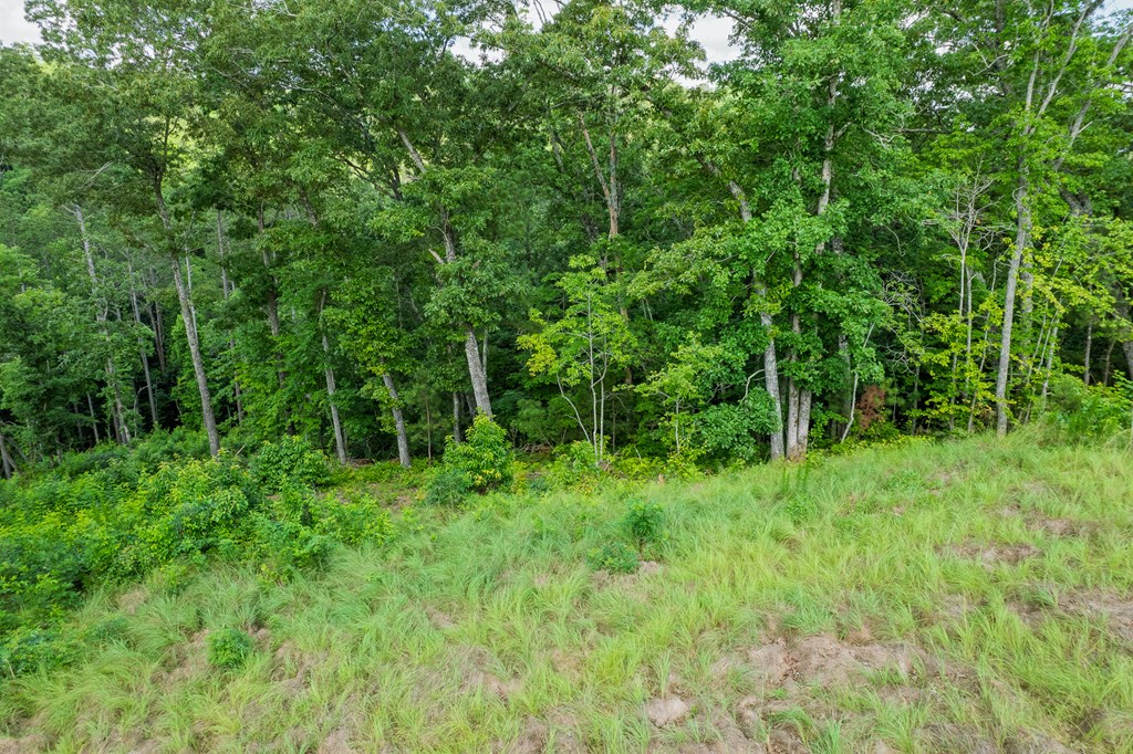 Lot 246 Spear Point Dr
