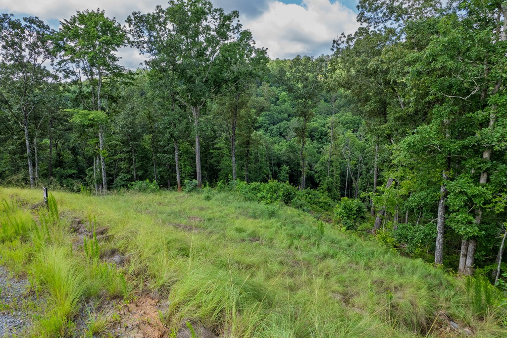 Lot 246 Spear Point Dr