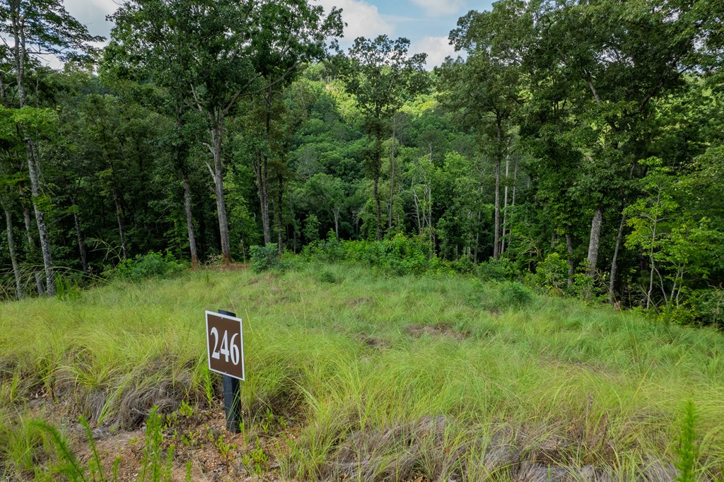Lot 246 Spear Point Dr