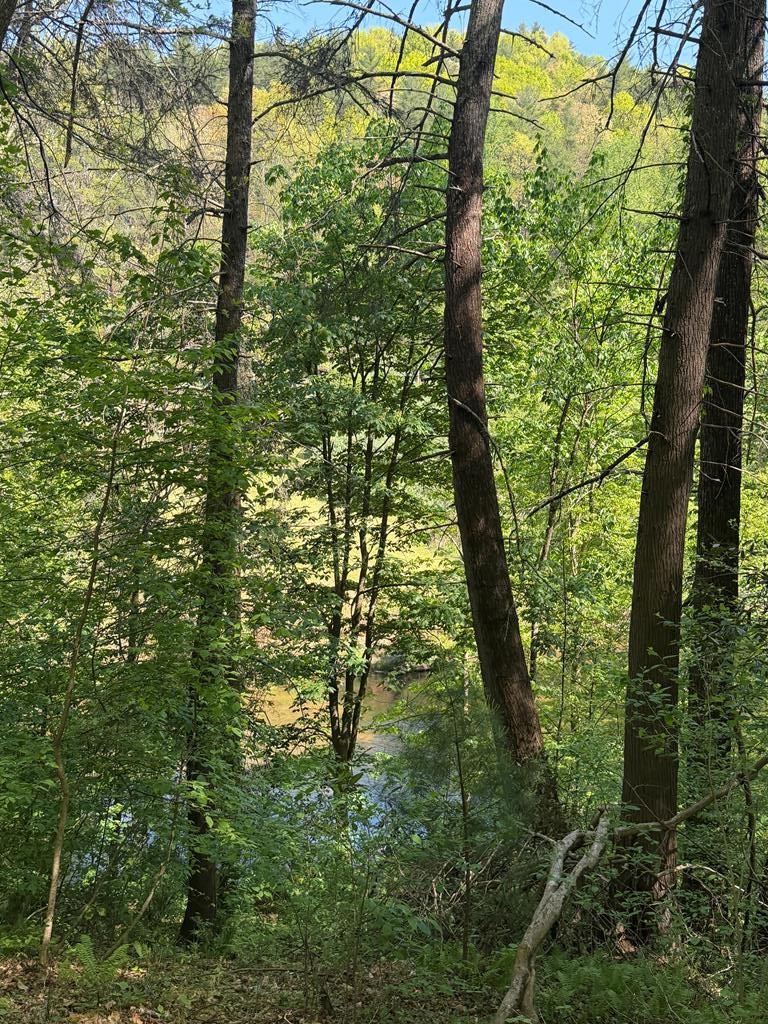 9.8 AC Brown Mountain Road