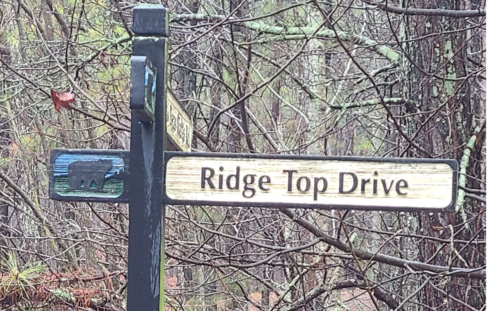 24 Ridge Top Drive