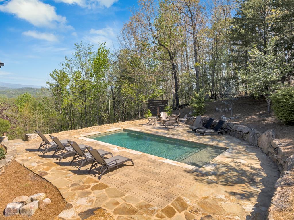 539 Deer Crest Overlook
