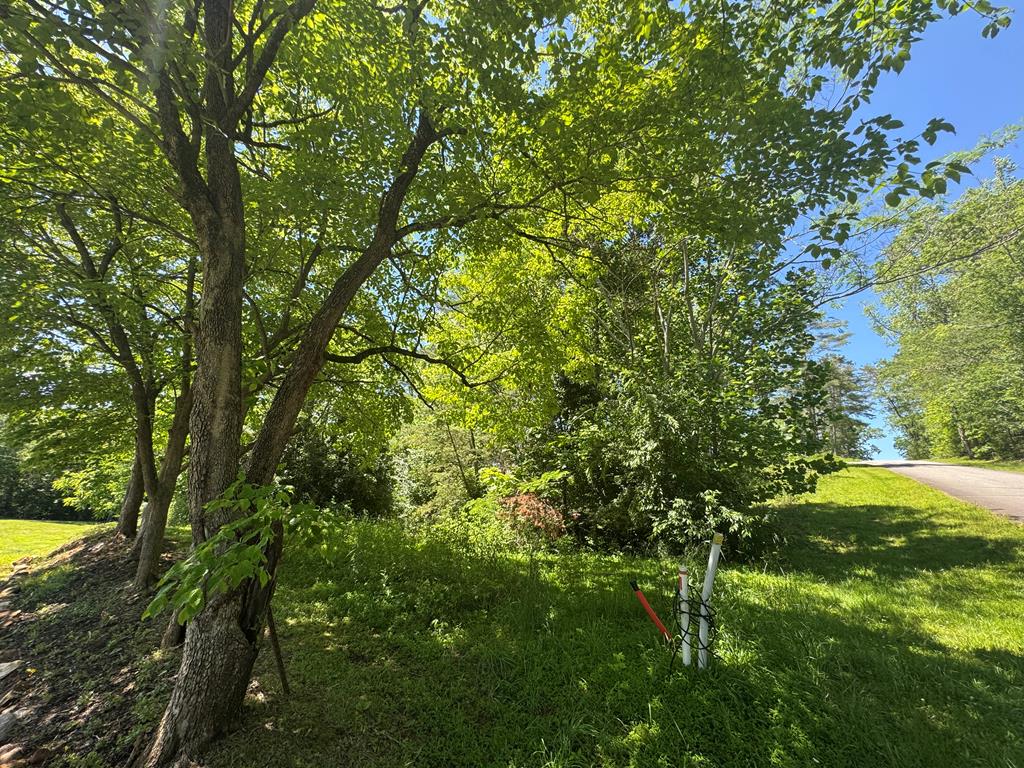 Lot 3A/B Tranquil Pointe Lane