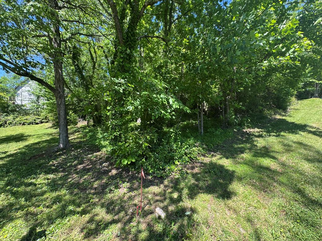 Lot 3A/B Tranquil Pointe Lane