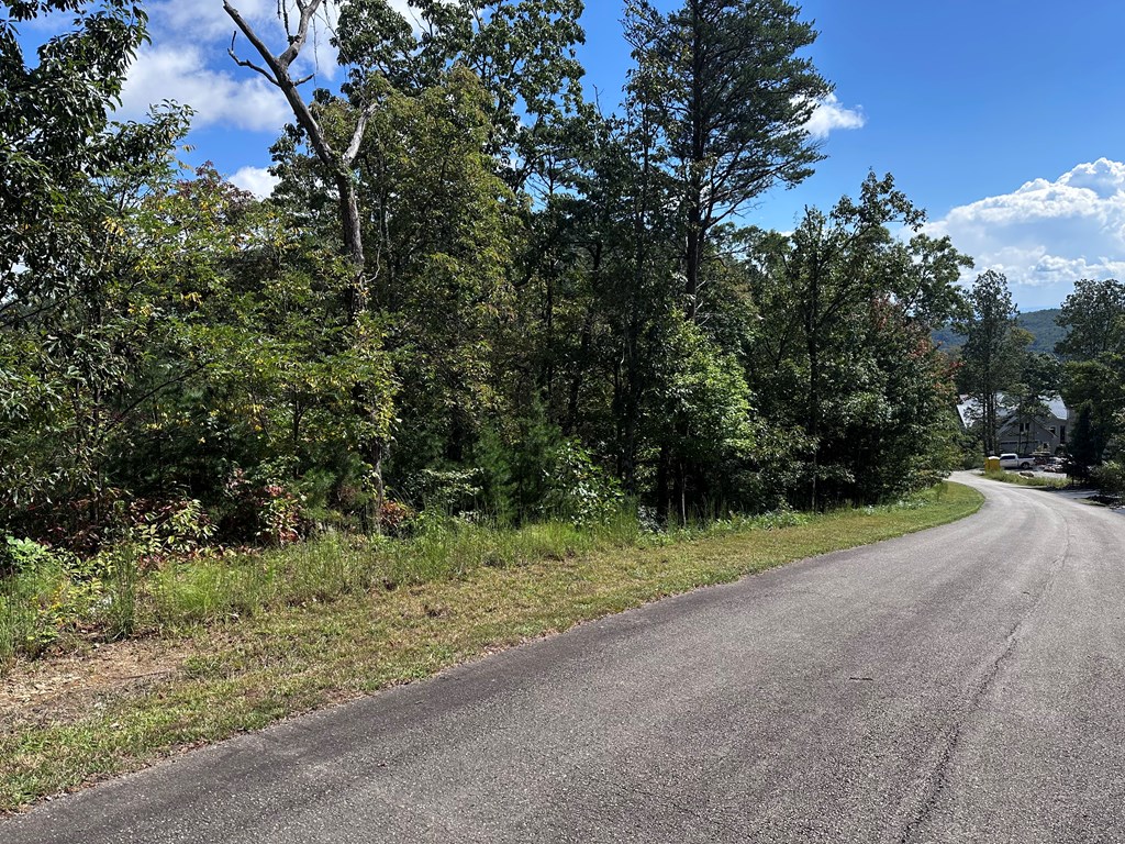 234 Stone Cliff Drive